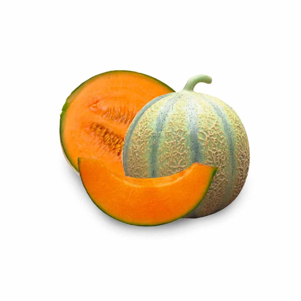 melon-Charentais